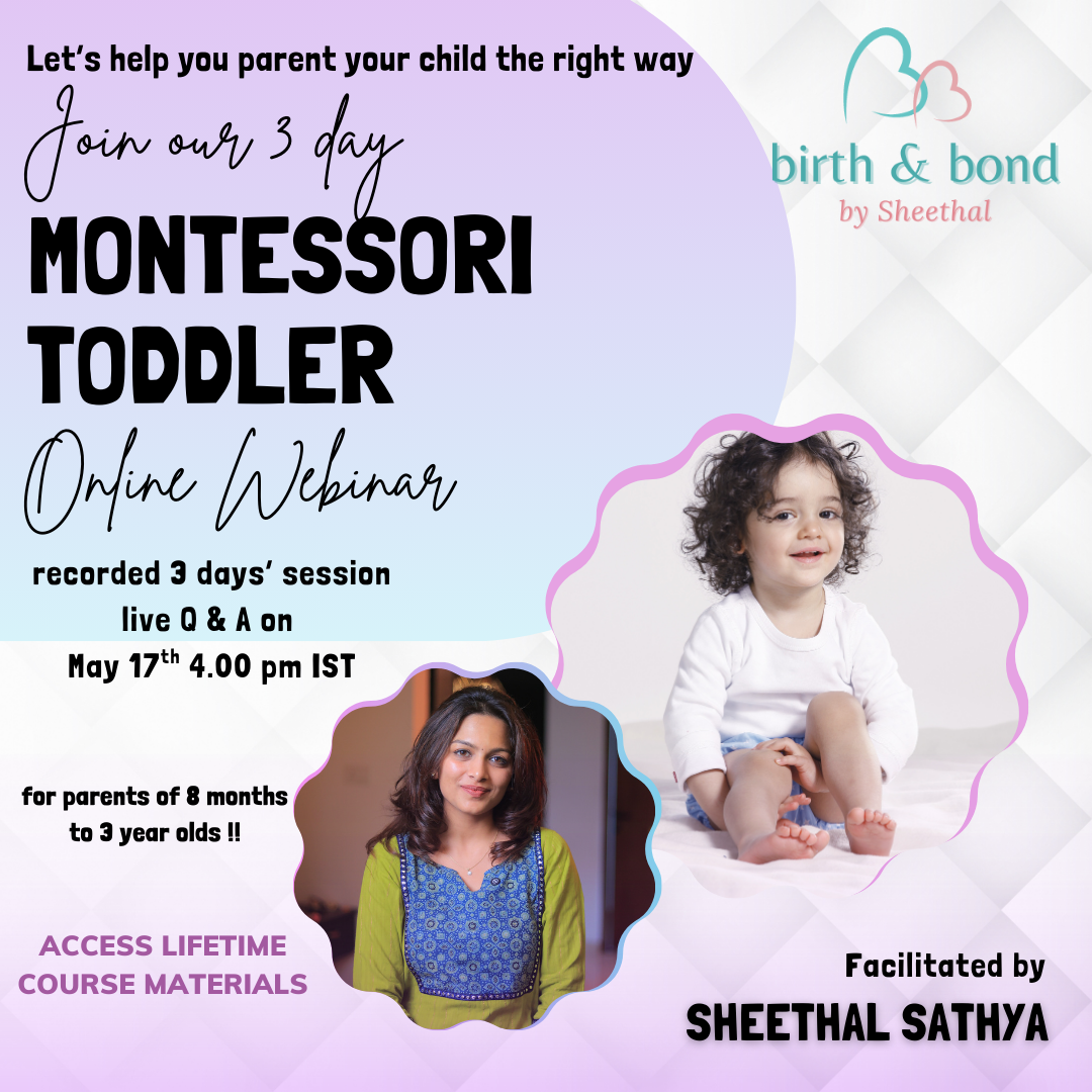 The Montessori Toddler Webinar