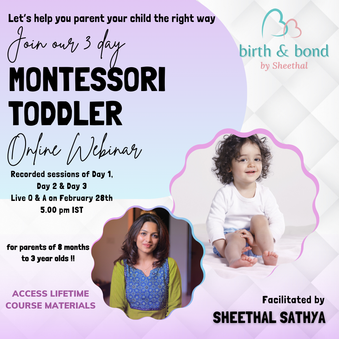 The Montessori Toddler Webinar