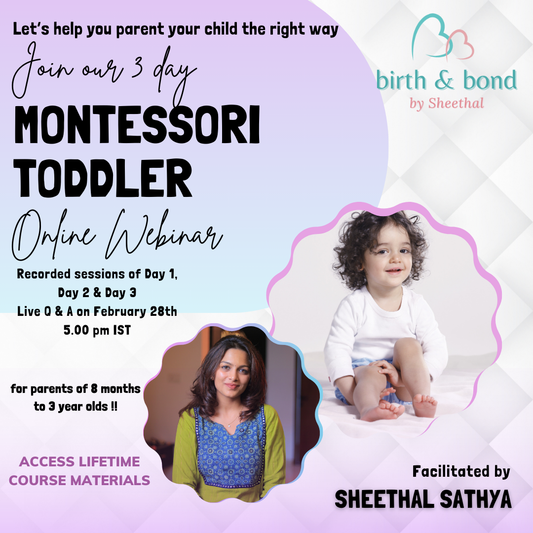 The Montessori Toddler Webinar
