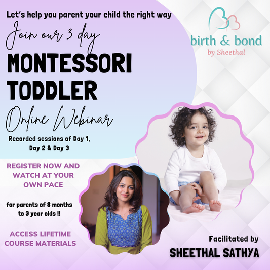 The Montessori Toddler Webinar