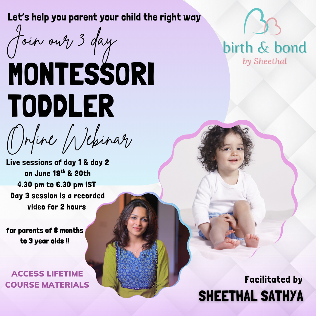 The Montessori Toddler Webinar