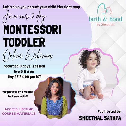 The Montessori Toddler Webinar